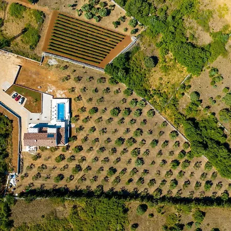 Villa Beautiful Tesoro Zaton (Zadar)